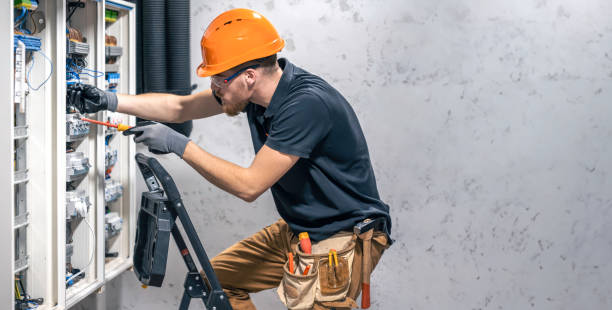 Best Electric Panel Repair  in Albers, IL